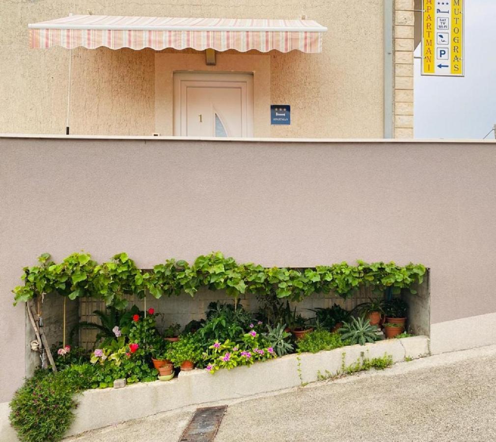 Apartment Mutogras